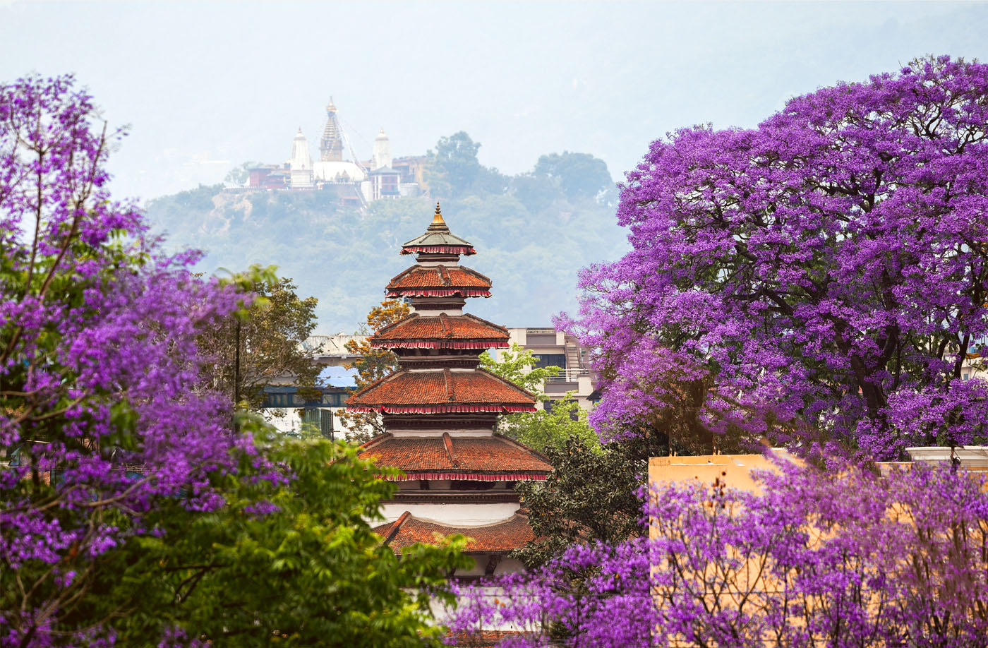 Rest/Preparation Day